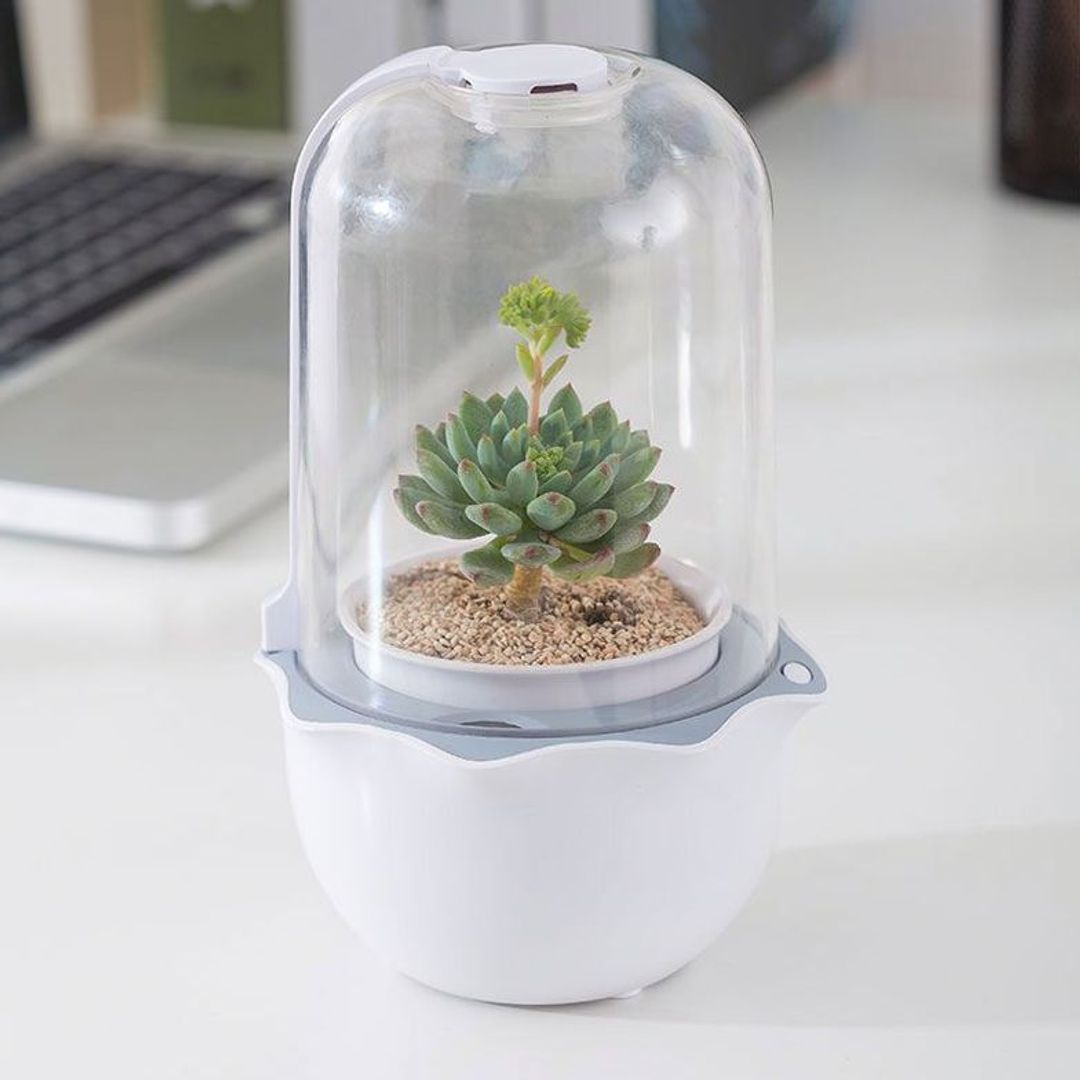 Умная теплица growUp Умная теплица growUp