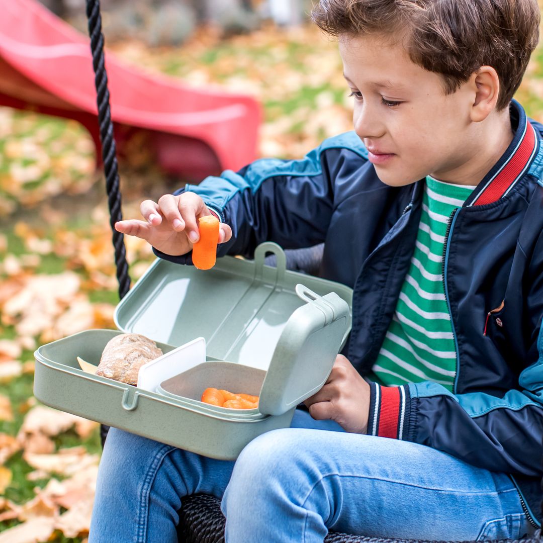 Ланч-бокс Pascal L Ланч-бокс Pascal L