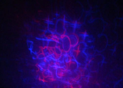 Ночник Проектор Romantic Master