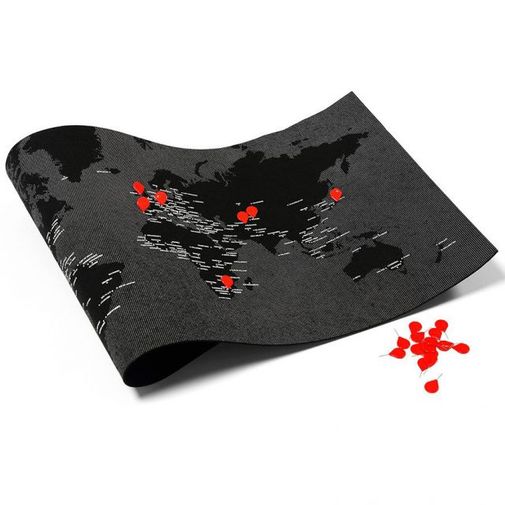 Карта мира Palomar Pin World