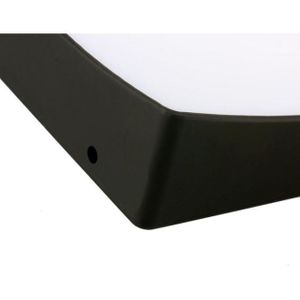 Волшебный лоток Волшебный лоток