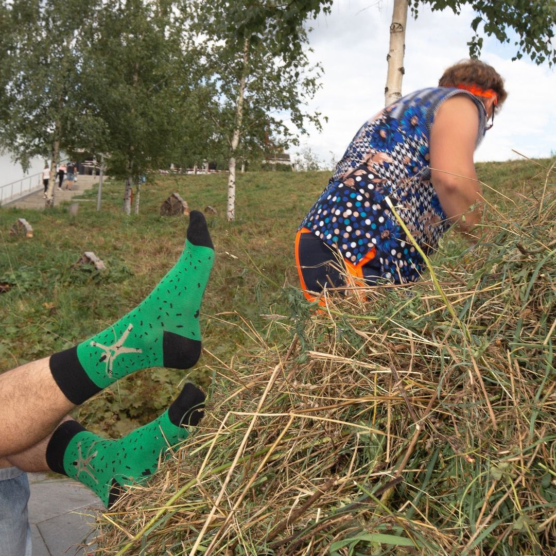 Носки Случай на лужайке Носки Случай на лужайке