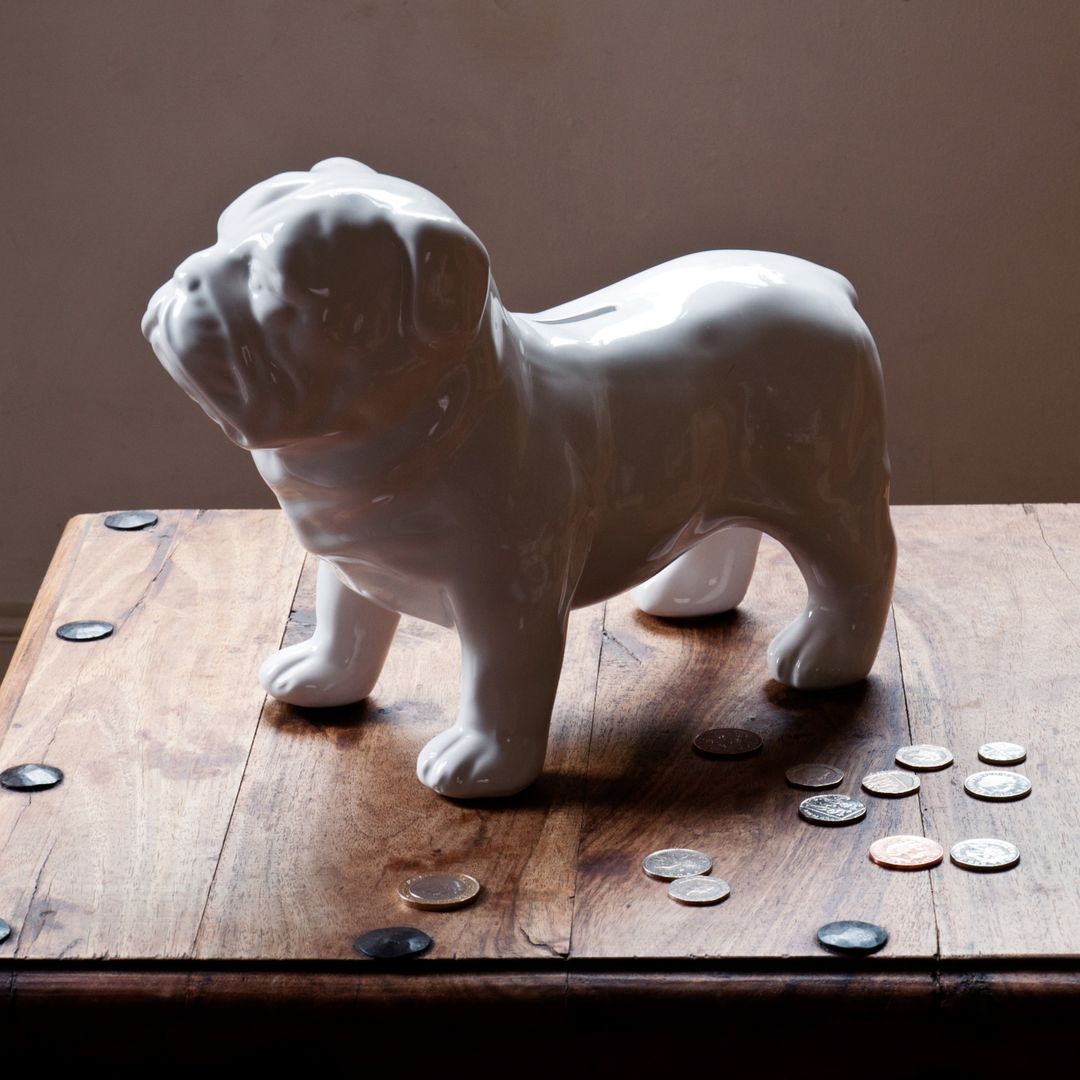 Гигантская копилка Бульдог Guard Dog Money Box Гигантская копилка Бульдог Guard Dog Money Box