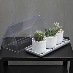 Лоток для выращивания растений Micro Green House