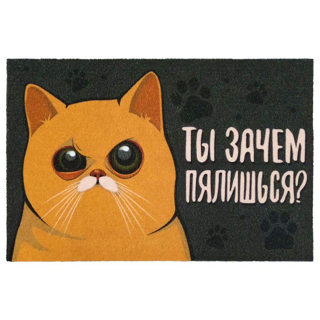 Коврик для входной двери Зачем пялишься?