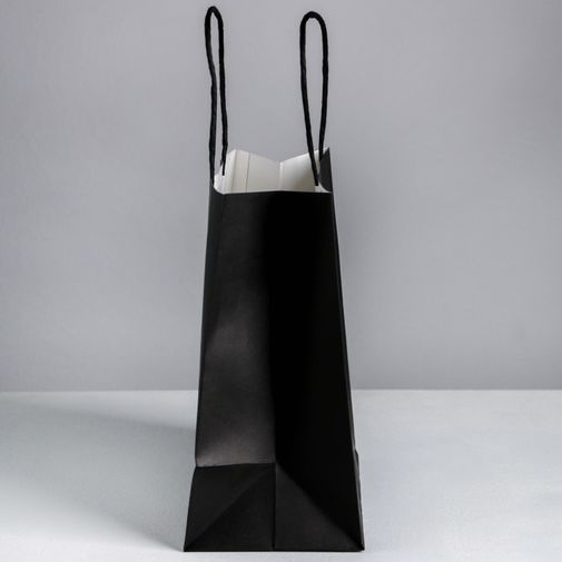 Подарочный пакет Всем плевать на твой др (22 х 22 х 11 см)