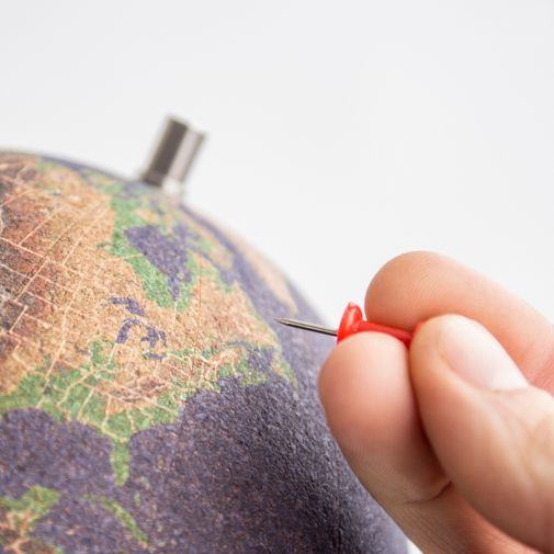 Пробковый глобус Cork Globe цветной Пробковый глобус Cork Globe цветной