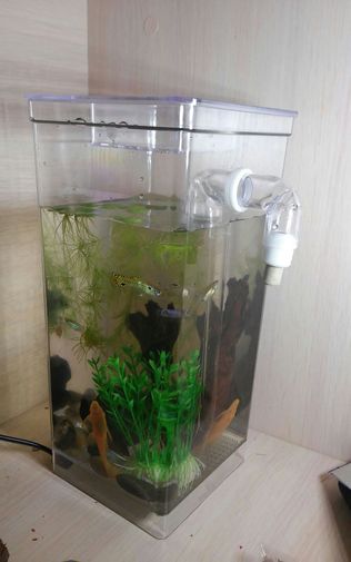  Фото покупателя Ольга