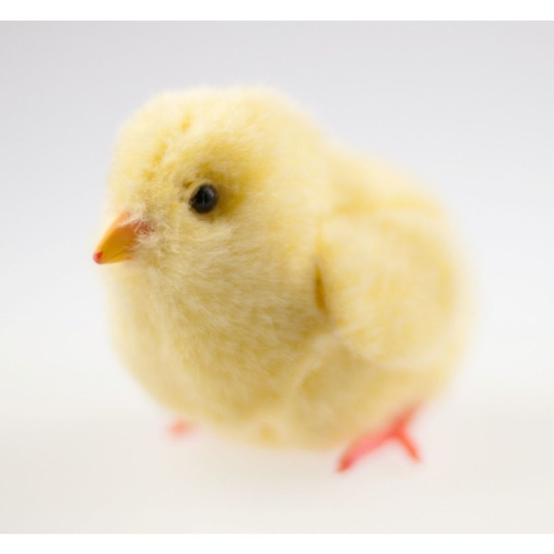 Цыпленок Sega Robot Chicken