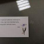 Кошелек New wallet New Gradient Отзыв Кошелек New wallet New Gradient Отзыв