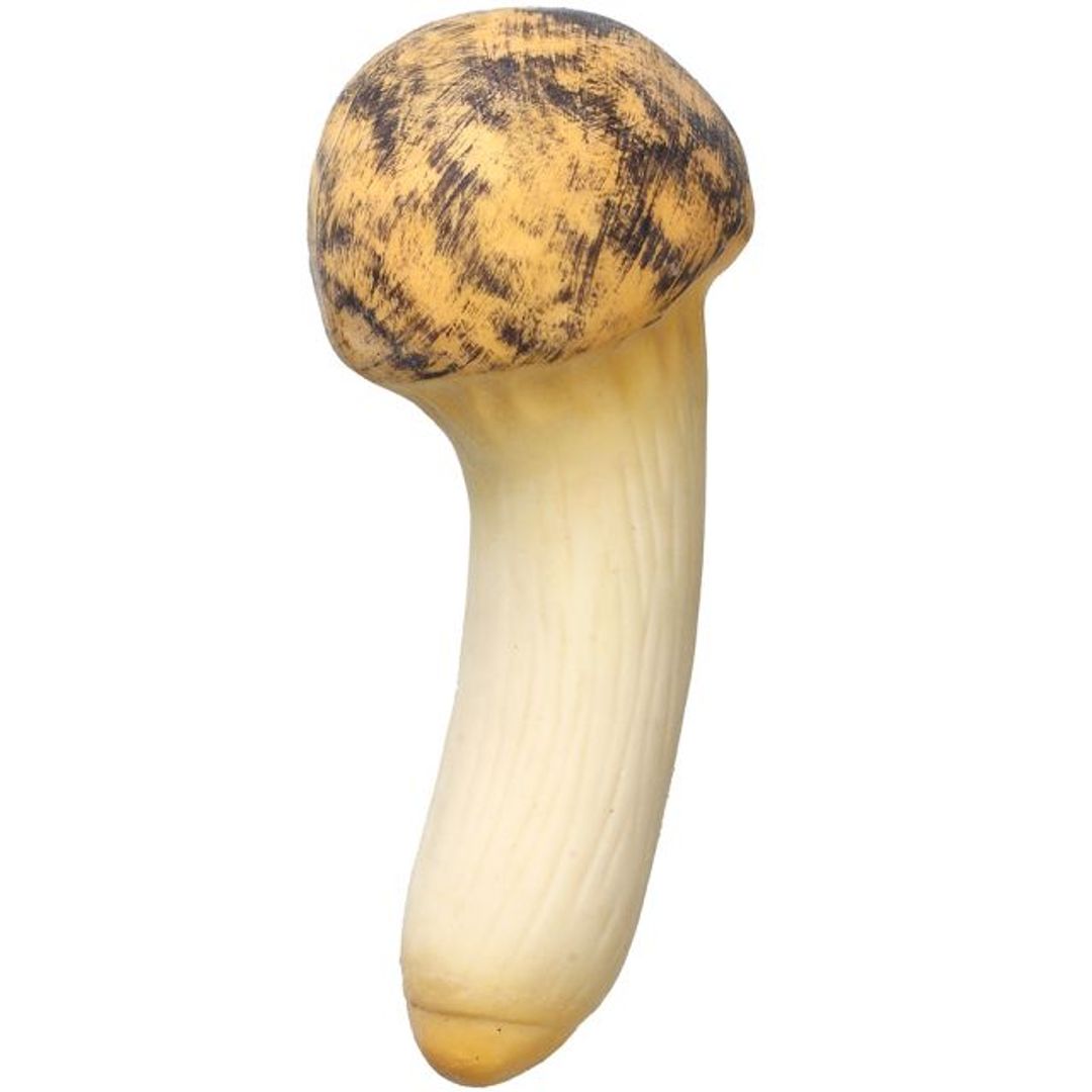 Антистресс Гриб — груздь Антистресс Гриб — груздь