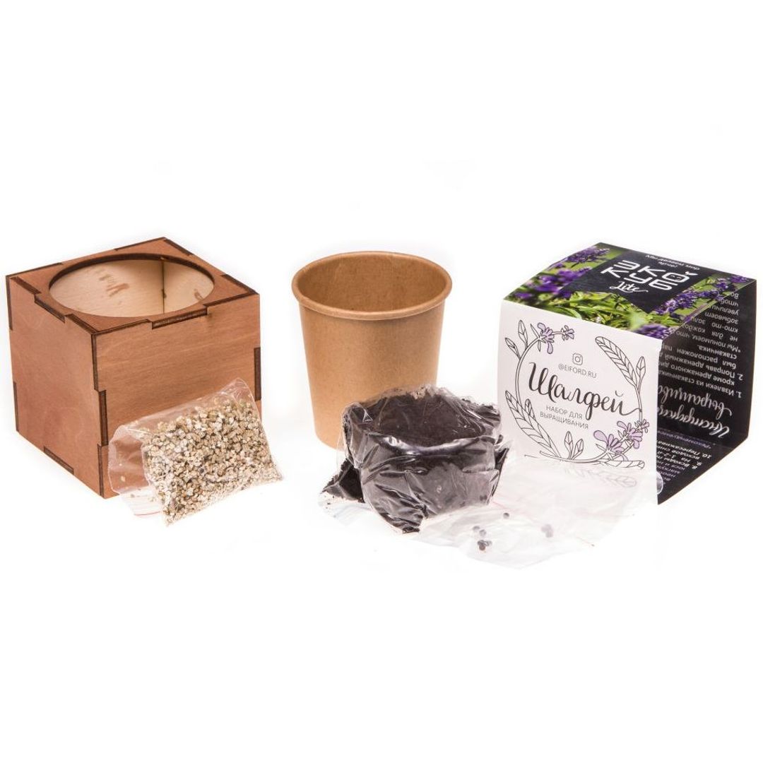 Набор для выращивания Шалфей