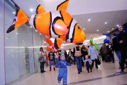 Летающая Рыба Клоун Летающая Рыба Клоун