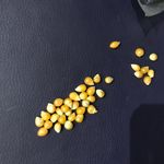Зерно кукурузы для приготовления попкорна (500 г) Отзыв