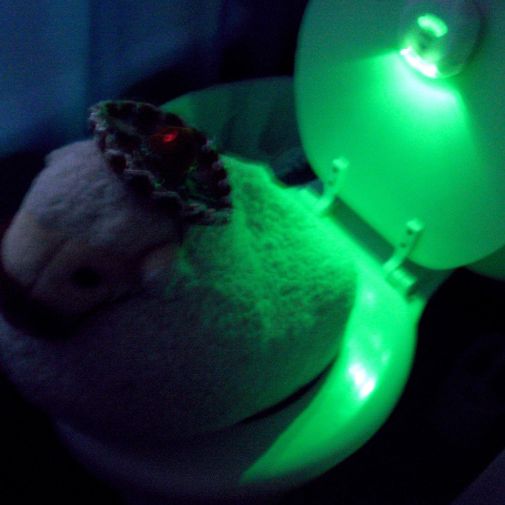 Посадочные Огни для Туалета