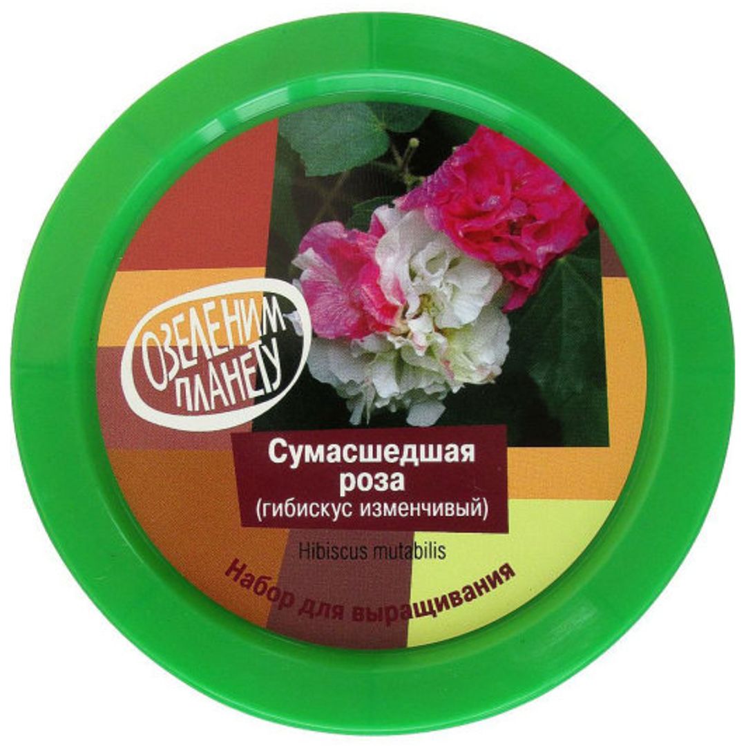 Набор для выращивания Сумасшедшая роза Набор для выращивания Сумасшедшая роза