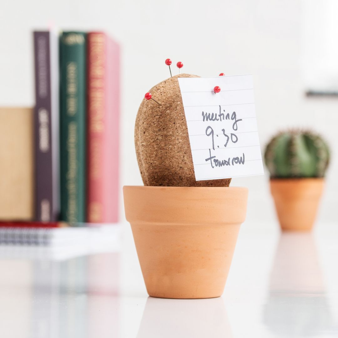 Настольный органайзер Кактус Cork Cactus