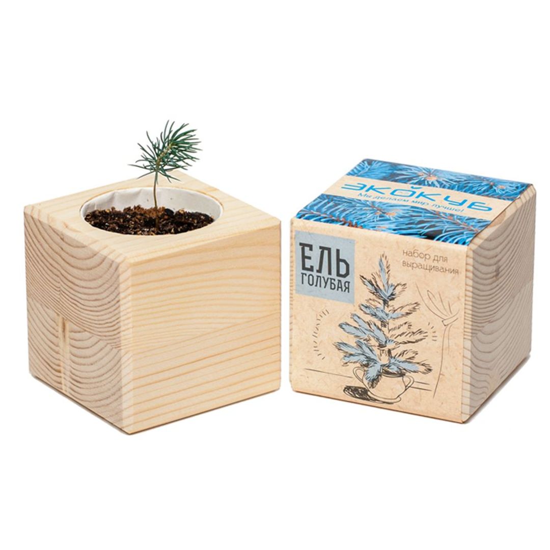 Набор для выращивания Экокуб (Ель голубая) Набор для выращивания Экокуб (Ель голубая)