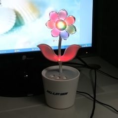 Танцующий цветок Flower Rock