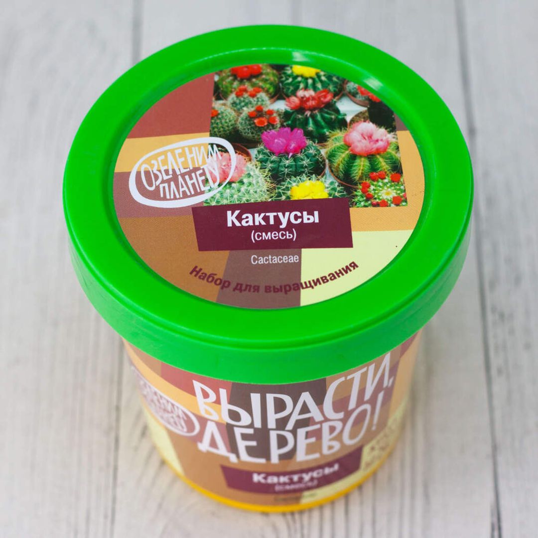 Набор для выращивания Кактусы Набор для выращивания Кактусы
