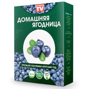 Набор для выращивания Голубики