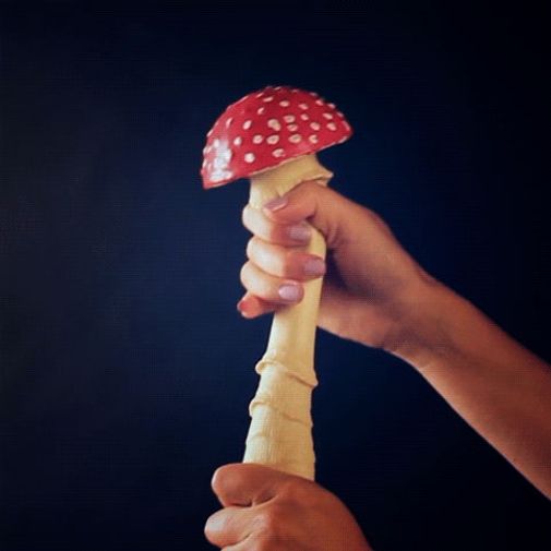 Антистресс Гриб — мухомор Антистресс Гриб — мухомор