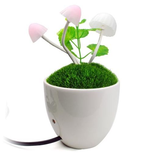 Ночник Волшебные грибы При дневном свете