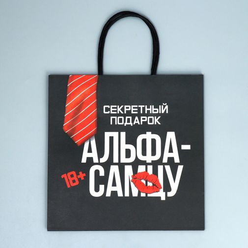 Подарочный пакет Альфа (22 х 22 х 11 см)