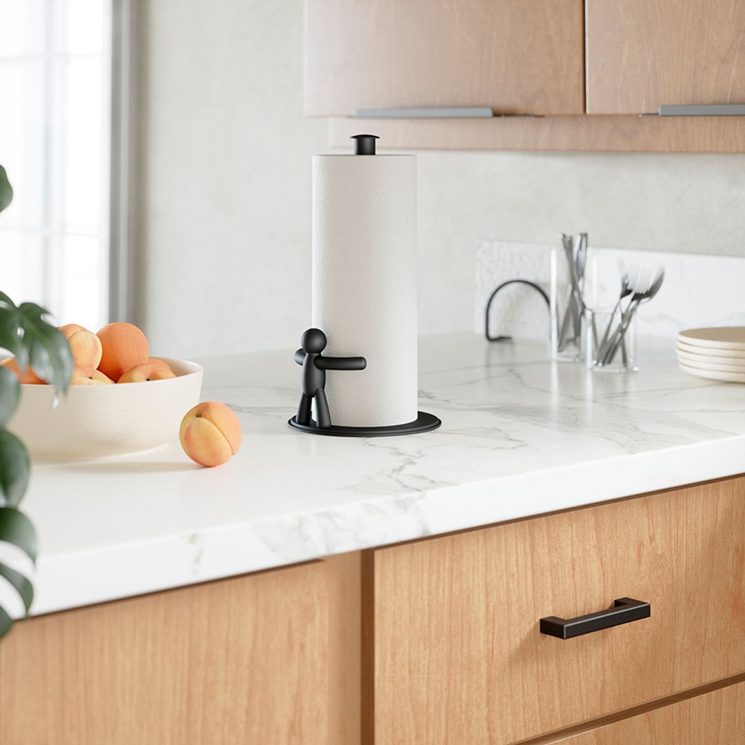 Держатель для бумажных полотенец Buddy