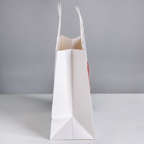 Подарочный пакет Бесишь (22 х 22 х 11 см)