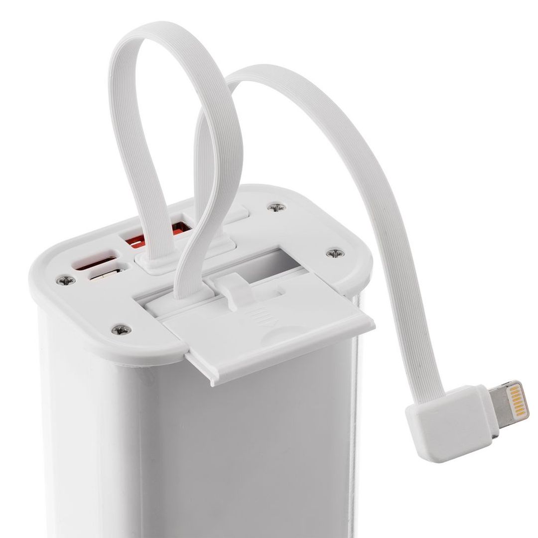 Аккумулятор c быстрой зарядкой Trellis Geek 10000 мАч (Белый) Аккумулятор c быстрой зарядкой Trellis Geek 10000 мАч (Белый)