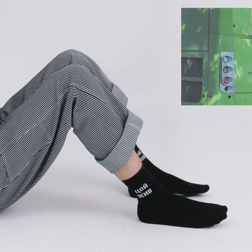 Носки спортивные Цой жив, Гуф умер (10 см) Носки спортивные Цой жив, Гуф умер (10 см)