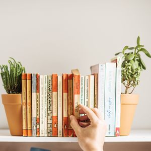 Держатель для книг Горшок Plant Pot