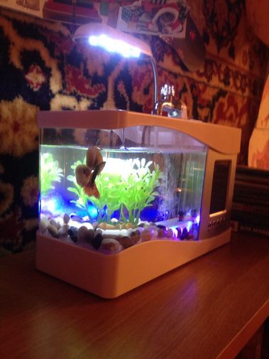  Фото покупателя Yulia