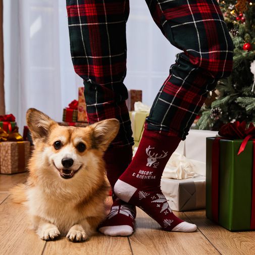 Носки с оленем, дополняющая мета-версия Носки с оленем, дополняющая мета-версия