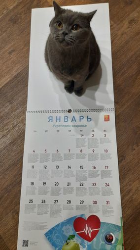 Фото покупателя Ольга Фото покупателя Ольга