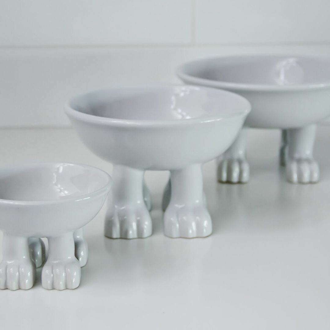 Миска на кошачьих лапках Cat Dylan Kendall (большая) Миска на кошачьих лапках Cat Dylan Kendall (большая)