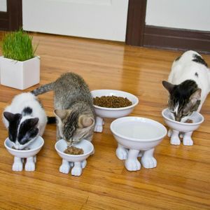 Миска на кошачьих лапках Cat Dylan Kendall (малая)