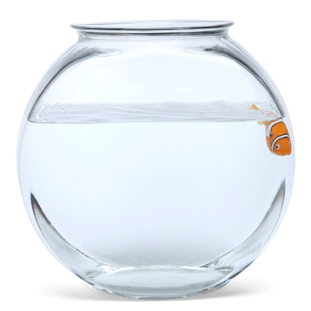 Роборыбка Robofish Роборыбка Robofish