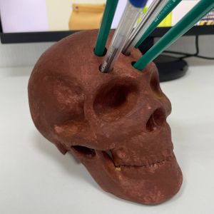 Настольный органайзер Череп Rust