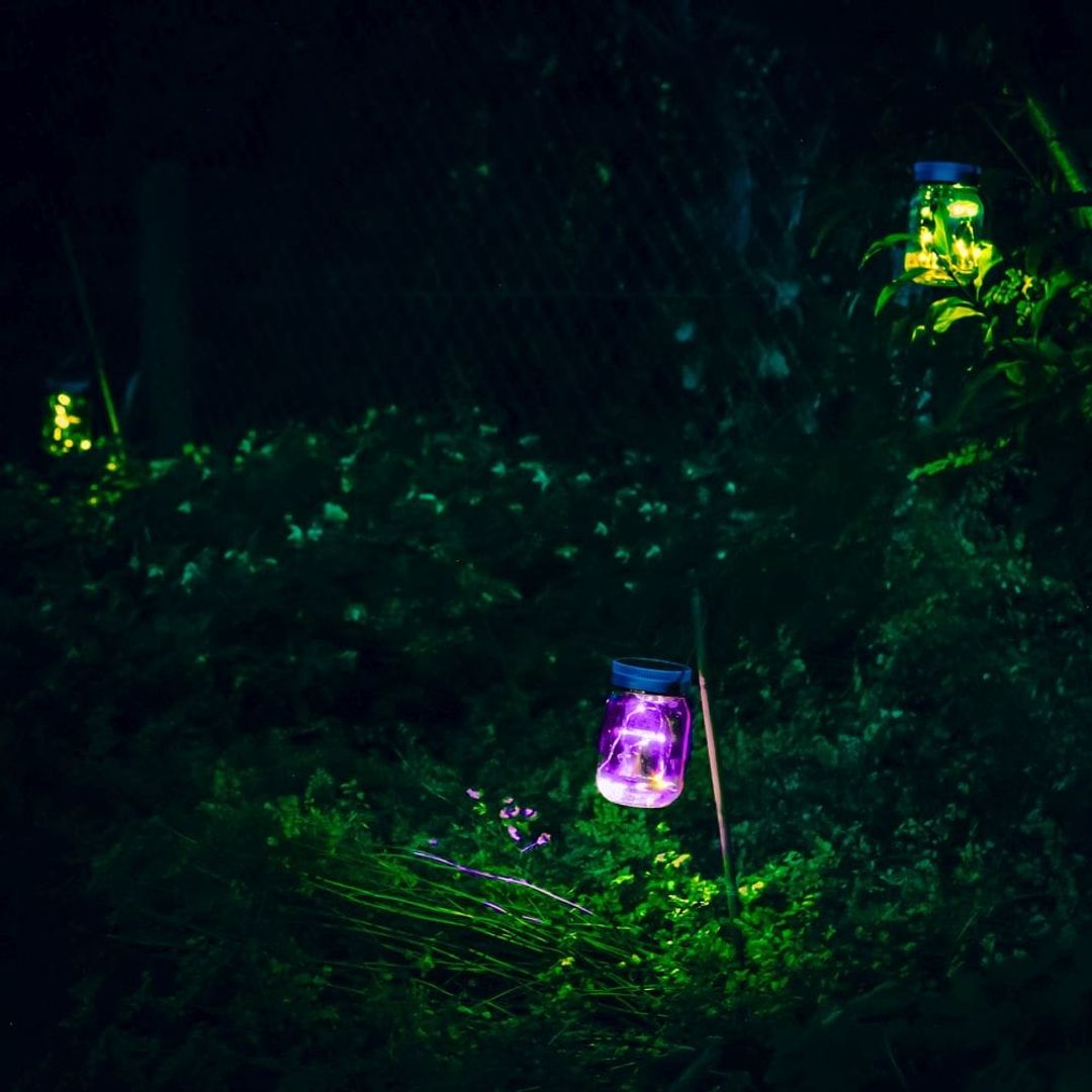 Светлячки в банке Firefly Jars (2 шт)