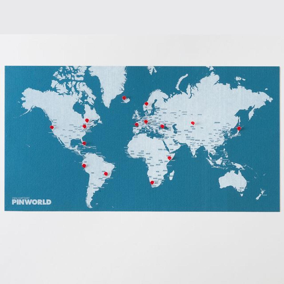 Карта мира Palomar Pin World