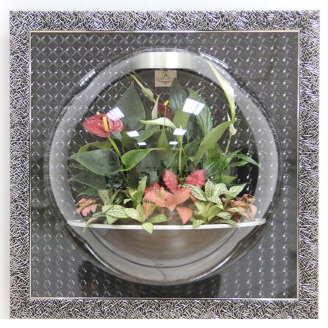 Настенный флорариум Flandriss Черный багет 3D