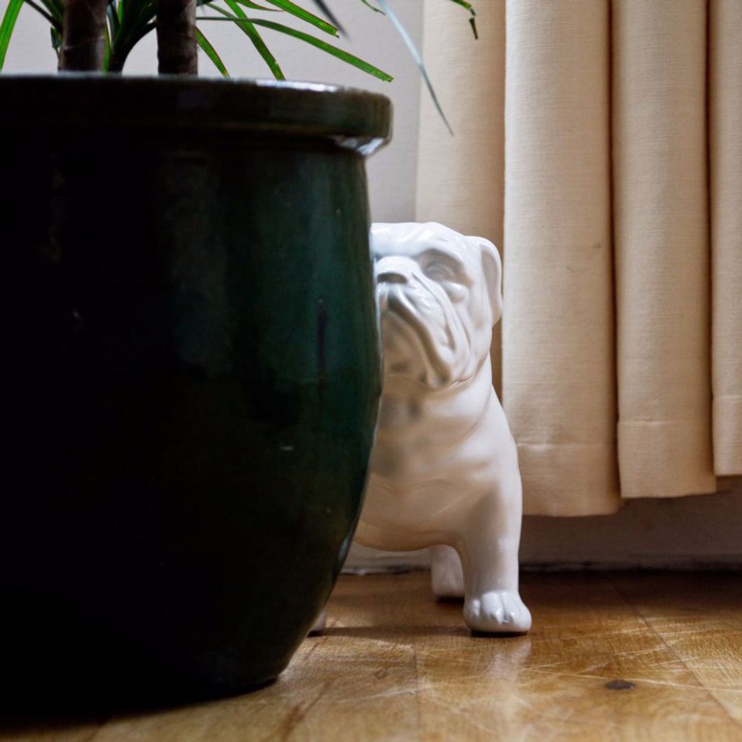 Гигантская копилка Бульдог Guard Dog Money Box Гигантская копилка Бульдог Guard Dog Money Box