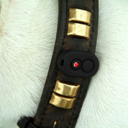 Устройство слежения Loc8tor Pet