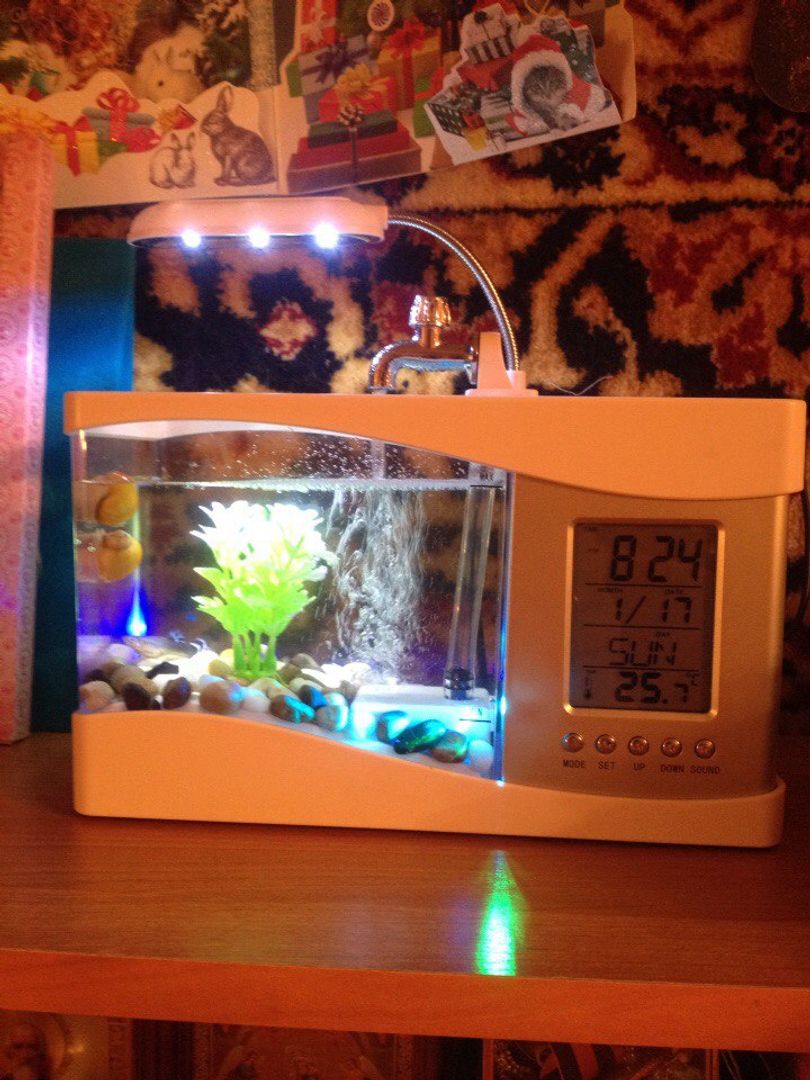 Фото покупателя Yulia