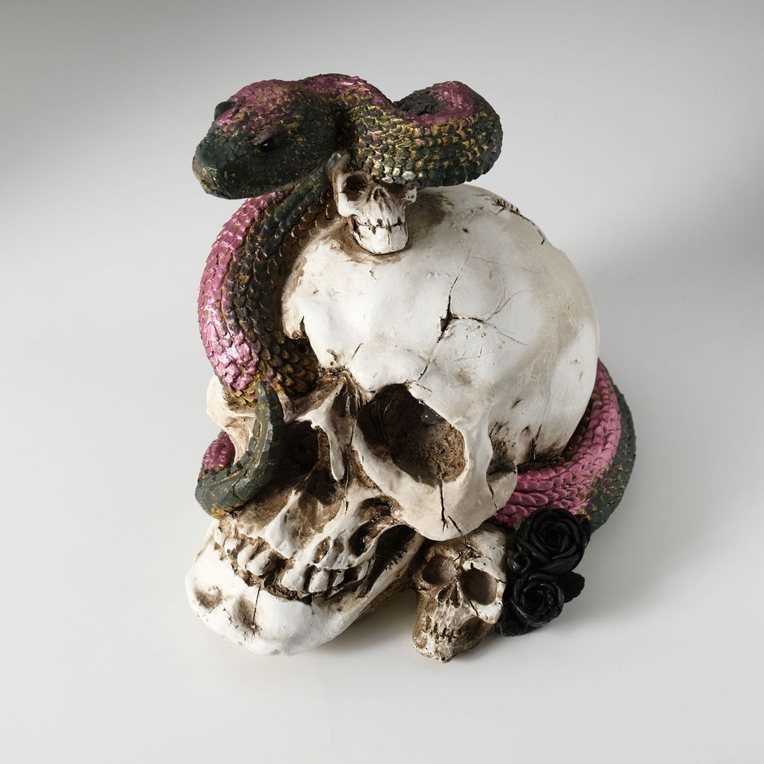 Череп со змеёй