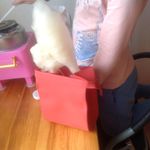 Ланч-бокс FoodBag Отзыв Ланч-бокс FoodBag Отзыв