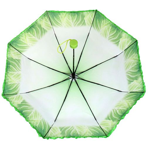 Зонт Капуста Купол снизу Зонт Капуста Купол снизу