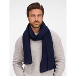 Шарф Frissonelle (темно-синий)